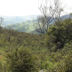 Knuckles Mountain Range - Matale
