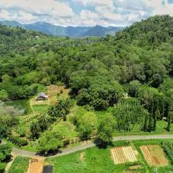 Matale Spice Gardens - Matale