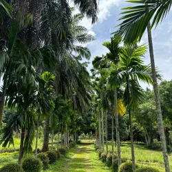 Matale Spice Gardens - Matale