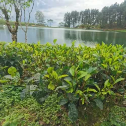 Sembuwatta Lake - Matale