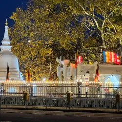 Matara Bodhiya - Matara