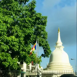 Matara Bodhiya - Matara