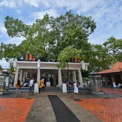 Matara Bodhiya - Matara