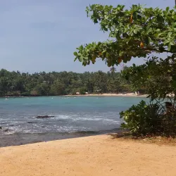 Matara Market - Matara