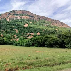 Nilwala River - Matara