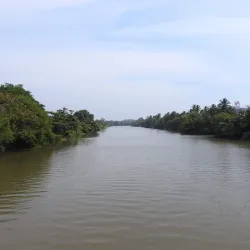 Nilwala River - Matara