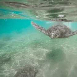 Polhena Beach - Matara