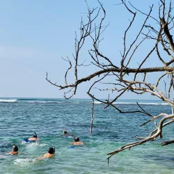 Polhena Beach - Matara
