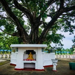 Weherahena Buddhist Temple - Matara