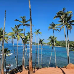 Coconut Tree Hill - Mirissa