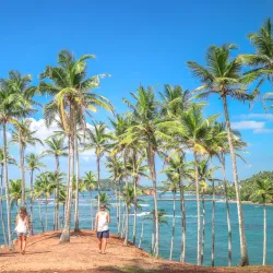 Mirissa Beach - Mirissa