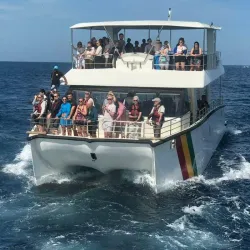 Whale Watching in Mirissa - Mirissa