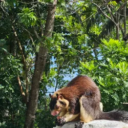 Kahathuduwa Raja Maha Viharaya - Moratuwa