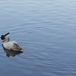Lunawa Lagoon - Moratuwa