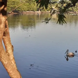 Lunawa Lagoon - Moratuwa