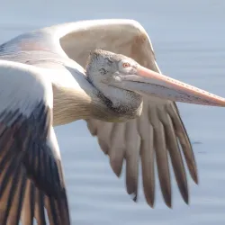 Lunawa Lagoon - Moratuwa