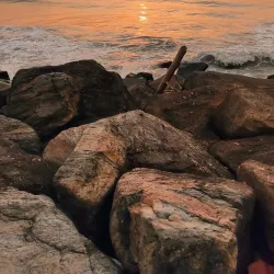 Moratuwa Beach - Moratuwa