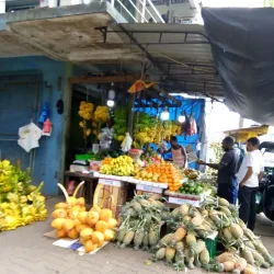 Moratuwa Fish Market - Moratuwa