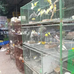 Moratuwa Fish Market - Moratuwa