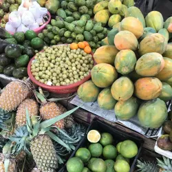 Moratuwa Fish Market - Moratuwa