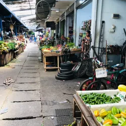 Moratuwa Fish Market - Moratuwa