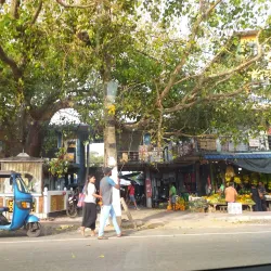 Moratuwa Fish Market - Moratuwa
