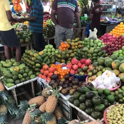 Moratuwa Fish Market - Moratuwa