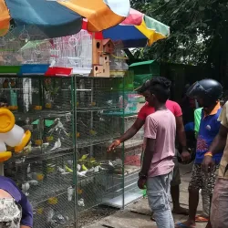 Moratuwa Fish Market - Moratuwa