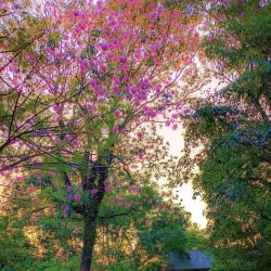 Moratuwa University (University of Moratuwa) - Moratuwa