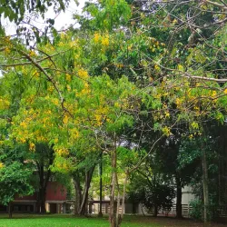 Moratuwa University (University of Moratuwa) - Moratuwa