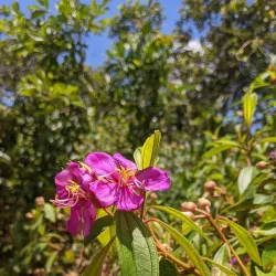 Sathara Park - Moratuwa