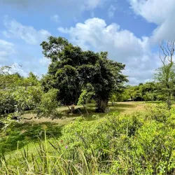 Sathara Park - Moratuwa