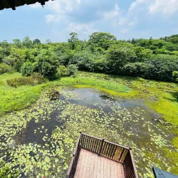 Sathara Park - Moratuwa