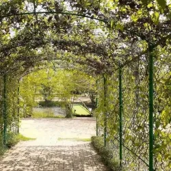 Sathara Park - Moratuwa