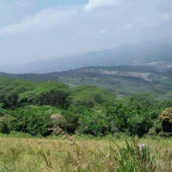 Hanthana Mountain Range - Nawalapitiya