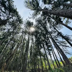 Hanthana Mountain Range - Nawalapitiya