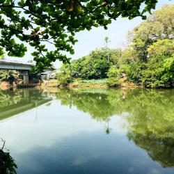 Kelani River - Nawalapitiya