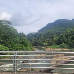 Kelani River - Nawalapitiya