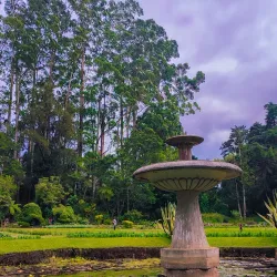 Victoria Park, Nawalapitiya - Nawalapitiya