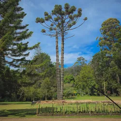 Victoria Park, Nawalapitiya - Nawalapitiya