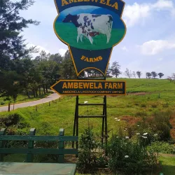 Ambewela Farm - Nuwara Eliya