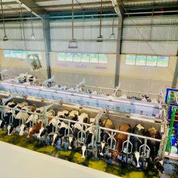 Ambewela Farm - Nuwara Eliya