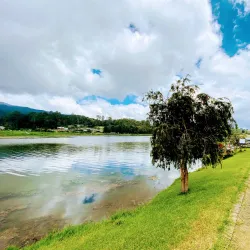 Gregory Lake - Nuwara Eliya