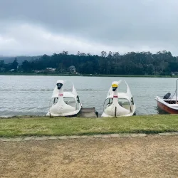 Gregory Lake - Nuwara Eliya