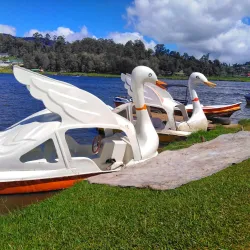 Gregory Lake - Nuwara Eliya