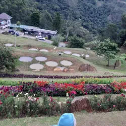 Hakgala Botanical Garden - Nuwara Eliya