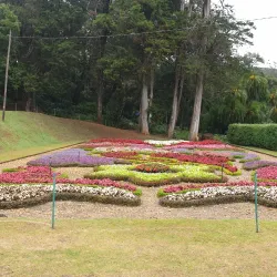 Hakgala Botanical Garden - Nuwara Eliya