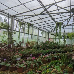 Hakgala Botanical Garden - Nuwara Eliya