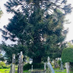 Holy Trinity Church - Nuwara Eliya