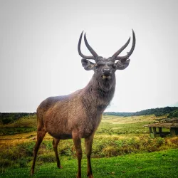 Horton Plains National Park - Nuwara Eliya